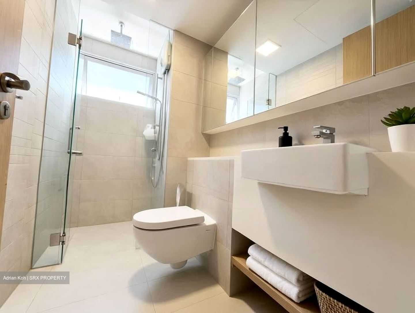Eight Riversuites (D12), Condominium #576892041